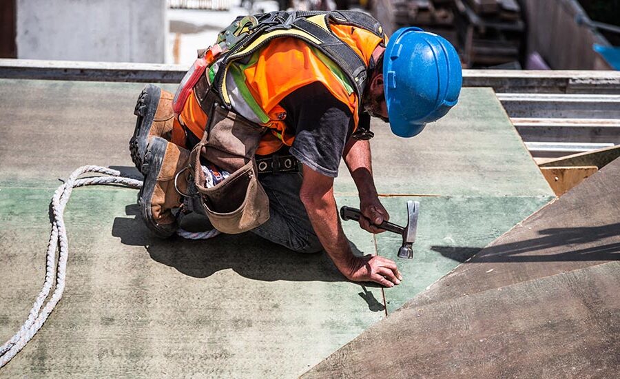 Alum placerat Suspen disse album